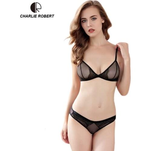 CR New Ultra-Thin Mesh Lace Sexy Lingerie Women Transparent Bra Sets WI532