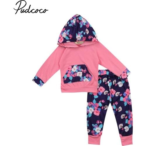 Toddler Baby Girls Floral Clothes 2Pcs Newborn Hoodie Tops Sweatshirt+Pants 2pcs Outfits Set Costume