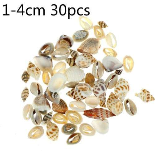 1-4cm 20/30pcs/lot Natural Conch Shells Mini Conch Corn Screw Wall Decoration DIY Aquarium Landscape Seashells