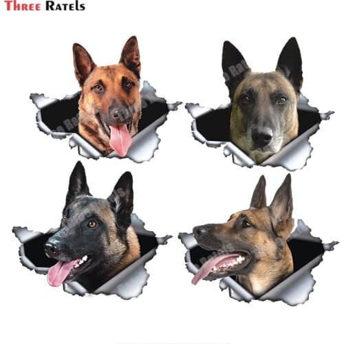 Three Ratels B410 Belgian Malinois Car Sticker Torn Metal Decal