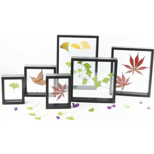 Quality Double Sided Acrylic Photo Frame Plant Specimens Solid Wood Frame Leaf Clip Desktop Decoration Picture Frames Ornament