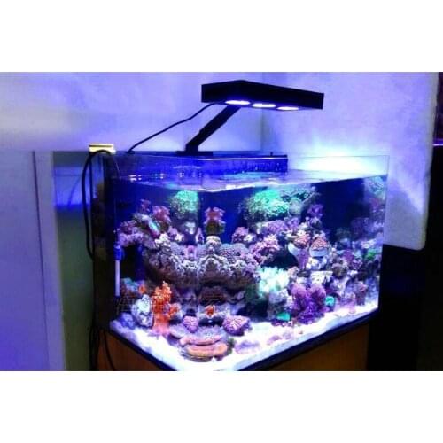 Aquasanrise Full Spectrum Marine reef tank LED light coral grow white blue aquarium fish tank SPS LPS color grow mini nan