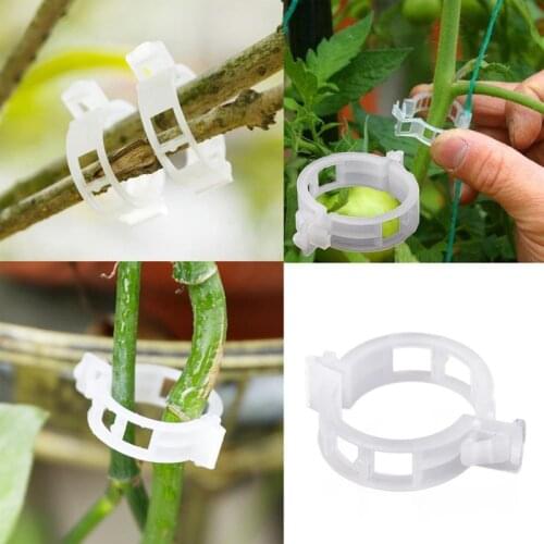 50 Pcs Plastic Plant Clips Supports for Tomato Hanging Trellis Vine Connects Plants Greenhouse Vegetables Garden Ornament