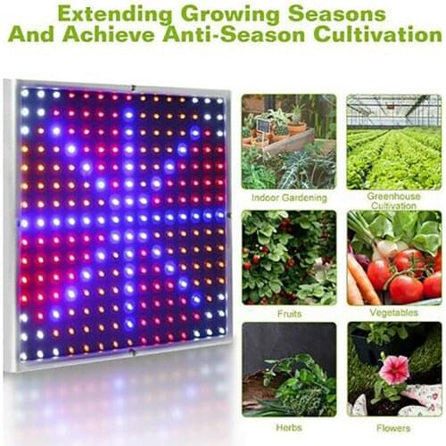 3PCS 2000W 225 LED Grow Light Hydroponic Growth Lamp Fitolampy Indoor Herbs Light For Greenhouse Led Grow Tent Box Dropshipping
