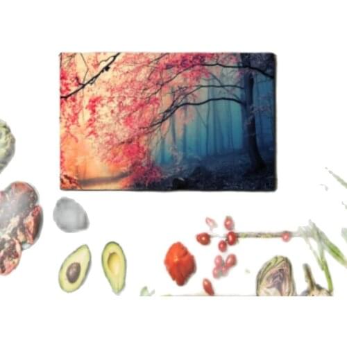 Glass Cutting Board Forest Scenery Glass Chopping board Cherry Tree Printed Anti Bacterial Cutting Table American Service 25x35cm