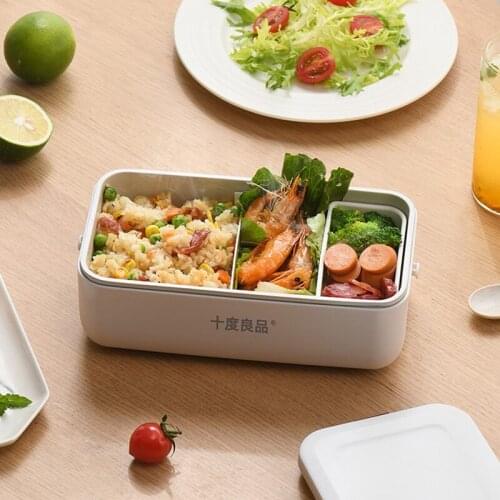 220V Electric Lunch Box Portable Water-free Lunch Heating Box Heating Food Warmer Elektrische Brotdose Mittagessen Heizbox 800ml