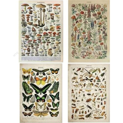 WTQ Butterfly Mushrooms Herbs Flowers Insect Vintage Posters Adolphe Millot Encyclopedia Posters Canvas Paintings Wall Home Deco