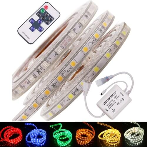220V 5050 LED Strip Light Remote Control 60LED/M Waterproof Led Ribbon Tape Lights Flexible Strip Home Decoration