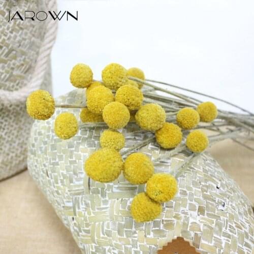 JAROWN Natural Dried Flowers Gold Ball Eternal Flores For Wedding DIY Bouquet Decorations Home Flower Arrangement Art