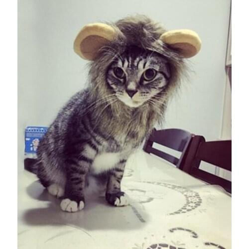 Pet Cat Wig Costume Cute Cosplay ion Mane Wig Cap Hat for Dogs Cats Halloween Christmas Fancy Dress with Ears Pet Clothes S M L