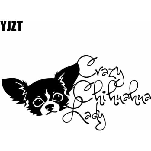 YJZT 19X9.6CM Crazy Chihuahua Lady Vinyl Decal Window Bumper Car Sticker Decor Dog Pet Chi Love Dogs Black/Silver C24-1442