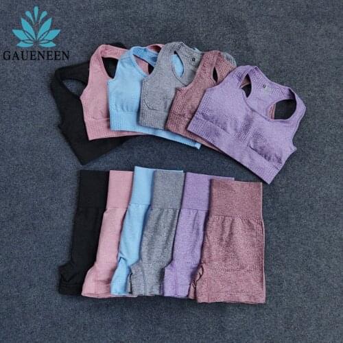 GAUENEEN Seamless Yoga Set Gym Clothing Tracksuit Padded Sports Bra High Waist Shorts Sets Outfits Summer Clothes for Women