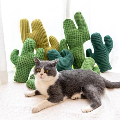 Plush Cat Toy Teeth Grinding Catnip Kitten Playing Pillow Claws Thumb Bite Cat mint For Cats Funny cactus Interactive Toys