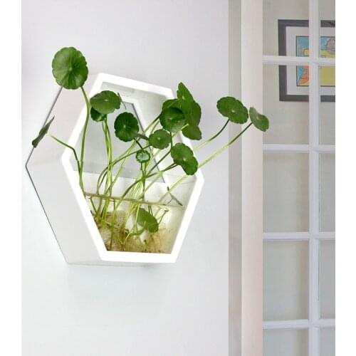 Hexagon wall hanging acrylic vase,wall acrylics fish tank,wall decor,home decor/house ornament/green gifts for her