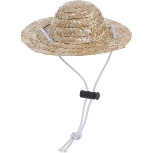 Hawaiian Style Pet Sombrero Hat Dog Cat Hat Small/Large Diameter 14cm 16cm