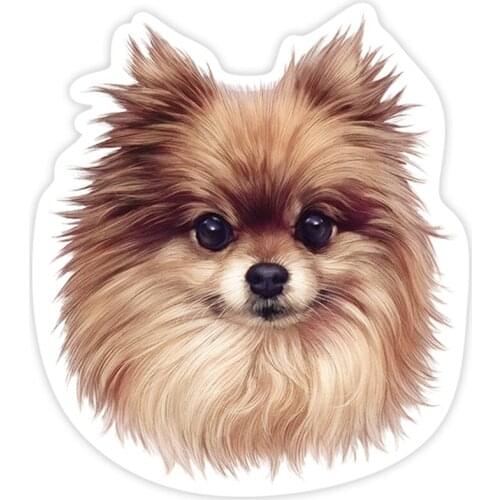 Fuzhen Boutique Decals Exterior Accessories German Spitz Car Sticker Waterproof on Bumper Rear Window Laptop Refrigerator Decal