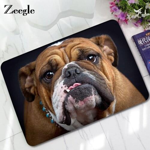 Zeegle Dog Floor Mat Door Carpet Kitchen Living Room Outdoor Rugs Animal DoorMat Home Entrance Door Floor Flannel Rug