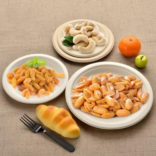 Cake Plate Disposable Trays White Dishes Container BBQ Roast Plate Restaurant Disposable Tray Convenient No-Wash Container 50pcs