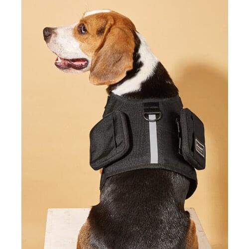 Dog Backpack Dog go Out Portable Schoolbag Small and Medium Sized Dog cat Traction Rope pet Supplies