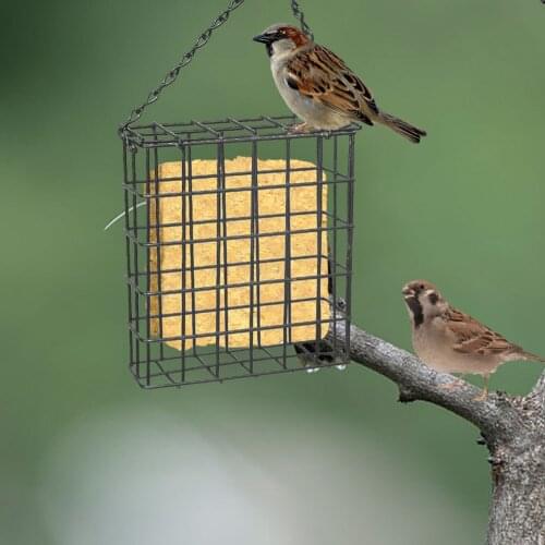 Suet Wild Bird Feeder Portable Durable Tree Hanging Food Container Parrot Cube Cage Portable Fruit Vegetable Park Garden