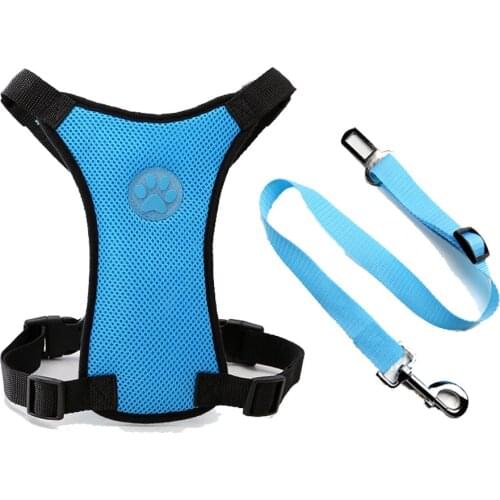 Seat Belts HiRoRace China
