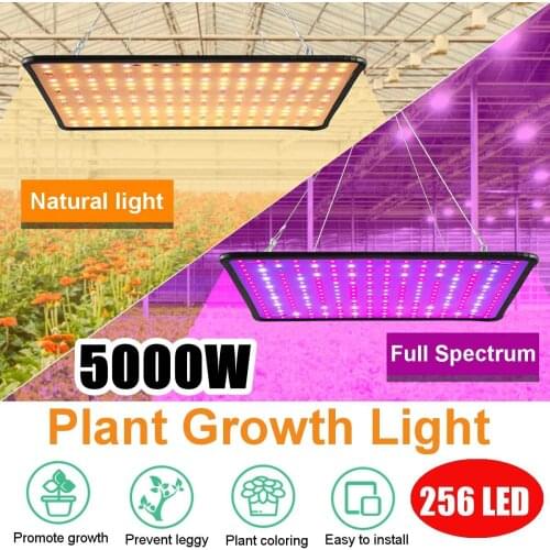256 LEDs Grow Light Led Full Spectrum Lamp 5000W Led Plant Light Bulb Greenhouses Indoor Phyto Lamp Grow Tent US EU AU Plug