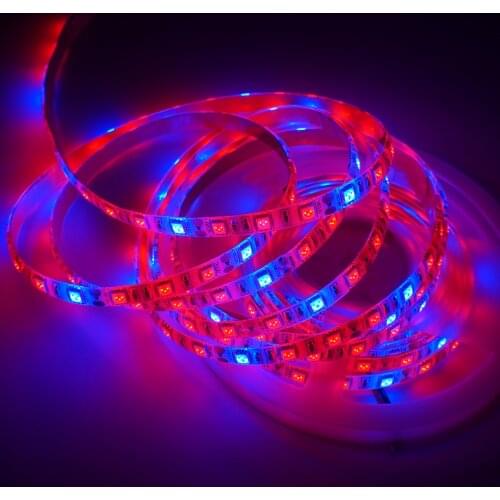 5m/rolls DC12V 5050 Chip 300leds Led Strip for Plants Grow light led phyto lamp for Greenhouse Hydroponic plant 60leds/m Tape