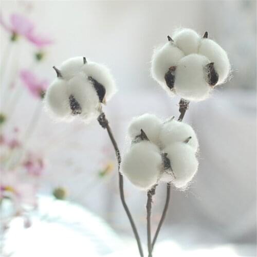 6 pcs Dried Flowers Natural Cotton Branch Small Flowers Plants Stems Flores Secas For Home Wedding Party Decoration