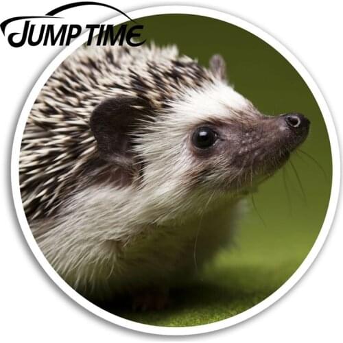 Jump Time Cute Hedgehog Vinyl Stickers Garden Fun Sticker Laptop Luggage Car Assessoires Window Decals Car Wrap DIY