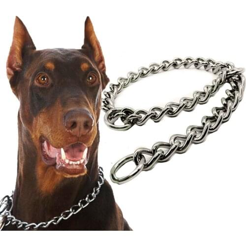 HobbyLane Collars