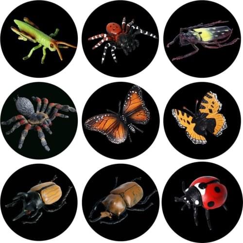Simulation Mini Insect world Childrens Science and Education Cognitive Action Figures Animal World Model Toys for children Gift