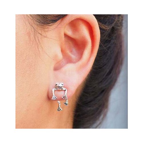 2021 Trend Fashion New Frog Earrings Earrings Female Animal Zodiac Earrings Womens Ear Jewelry Gift