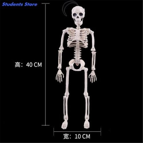 Flexible Human Anatomical Anatomy Bone Skeleton Model Medical Teaching Supplies Halloween Party Decoration Skeleton