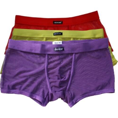 Cockcon Mens Boxers Underwear Mesh Net Sexy Panties Men Brand See Through Shorts Gay Fishnet Male Underpants Convex Transparent