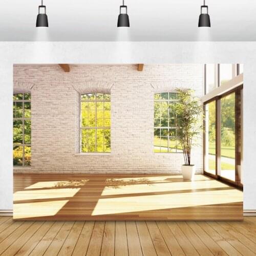 White Wall Potted Plants Interior Room Decro Photo Bakcrops Photophone French Window Photography Backgrounds Photozone Props