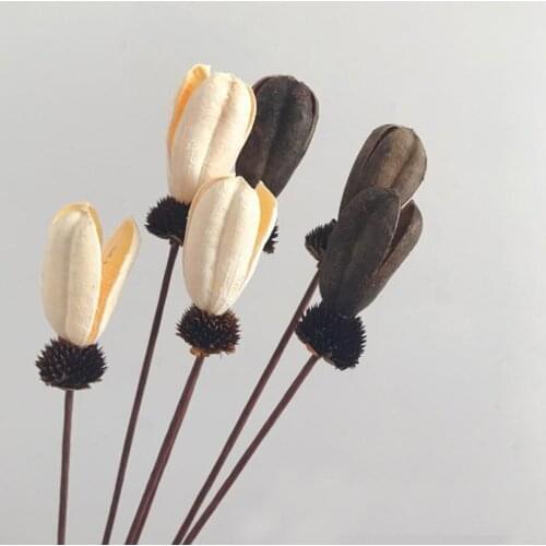 10pcs White/Brown/Red Dried Tulip Flowers Branch For Bouquet Vase Making Decoration Material Accessory Craft DIY