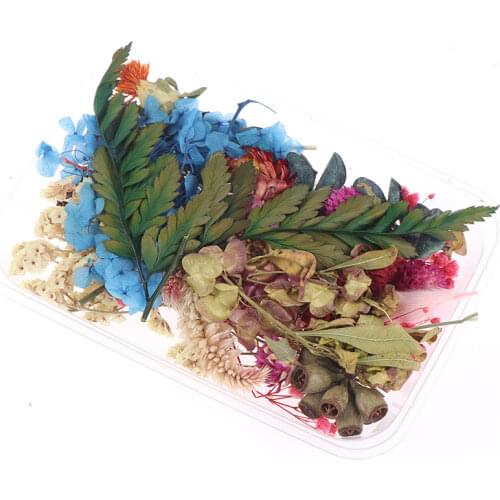 1 Box Beautiful Real Dried Flower Material Natural Floral Plant Specimen Making Scrapbook Resin Jewelry Crafts Accessories