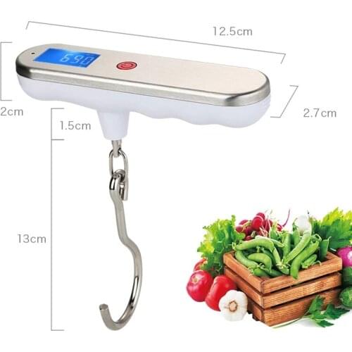 Portable Fishing Weighting Tools 50kg/110lb x 10g Digital Electronic Scale for Fish Luggage kg,g,lb,oz Fishing Hanging Scales