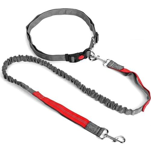 Hands Free Dog Leash, Retractable Dog Running Leash, Elastic Bungee Dog Running Belt,Jogging Lead with Waist Belt