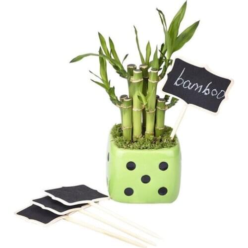 10Pcs/Set Wooden Garden Labels Gardening Plant Classification Sorting Sign Tag Ticket Writing Plate Board Message Blackboard