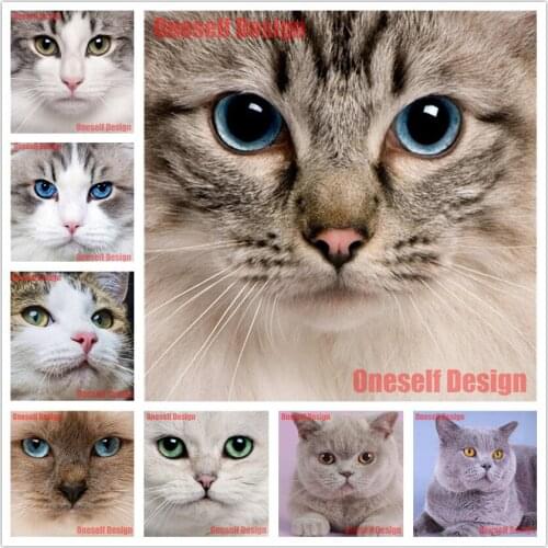 5d diamond painting full square cat 5d diamond cross stitch animal diy diamond embroidery full set decoration home diamond art