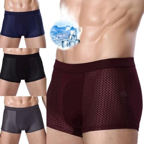 Mens Breathable Mesh Pantie Modal Gentle Flexible Super-elastic Boxer Soft Summer Mens Underpants Mens Boxer Pantie Plus Size