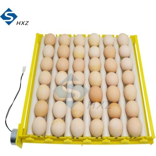 NEW 360° Automatic Rotating Egg Tray 42 Incubator Roller Egg Tray Combination 220V Kit 110V Kit