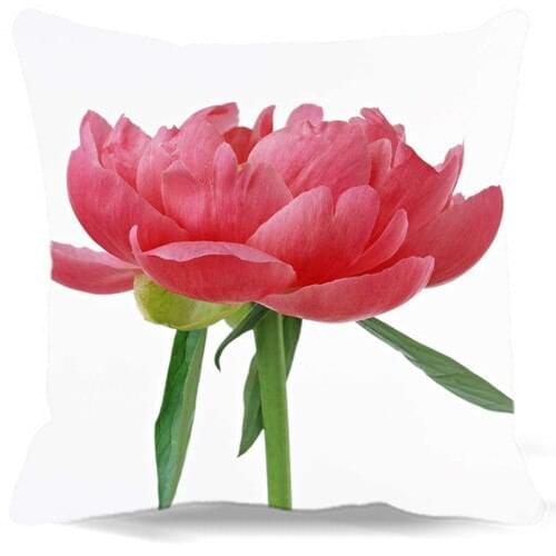 Peony flowers 9 style 16'' 18" 19" Cotton polyester Vintage Retro flowers Pattern Print Home car hotel Decorative Pillow case