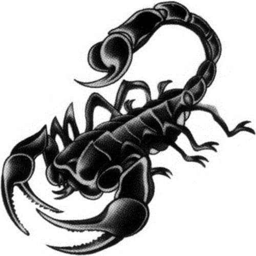 5pcs/lot Cute Temporary Tattoo Sticker Abstract Figure Scorpion Dumbo Painted Body Art Fresh Feather Stickers Random Pattern