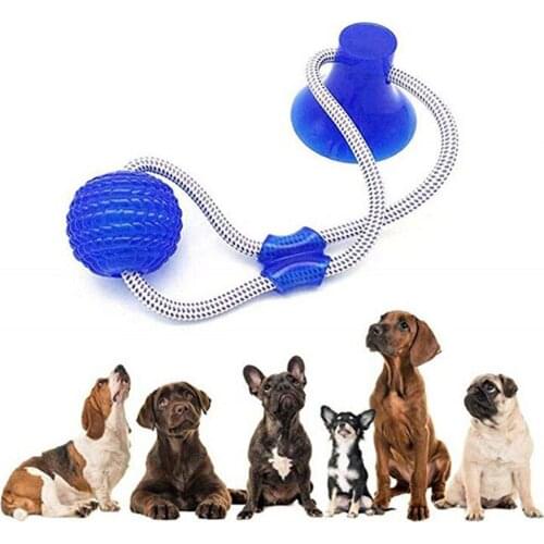 Pet Dog Puppy Tooth Cleaning Toys Pets Tug Rope Chewing Toys With Suction Cup For Small Medium Dogs Pets Dogs Toy
