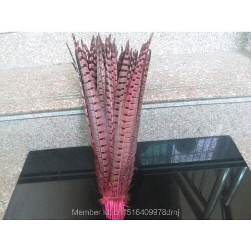 Wholesale 500 / lot beautiful pink pheasant feathers 18-20 inches / 45-50 cm free shipping