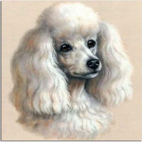 Cute poodle 35x35cm Full drill diamond embroidery 3d diamond cross stitch fashion diamond mosaic pictures of rhinestones