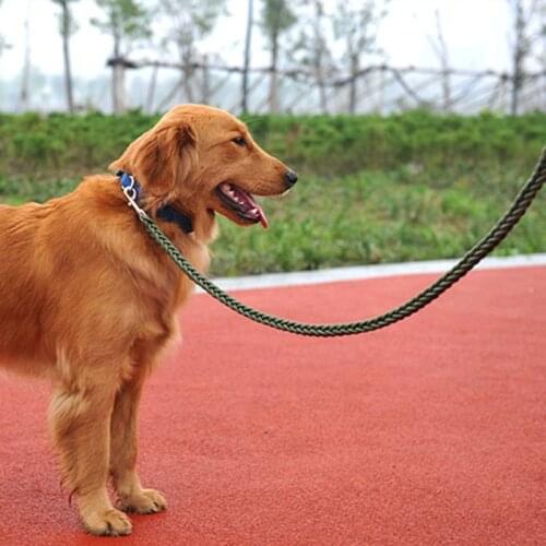 Nylon Dog Harness Leash for Medium Large Dogs Leads Pet Training Walking Safety Climb Dog Leash 2cm 8 Strand Braided Hard Ropes