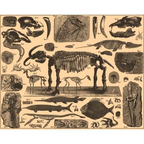 Vintage Ancient Animals Fossils Retro Poster Canvas Painting DIY Wall Paper Posters Home Decor Gift